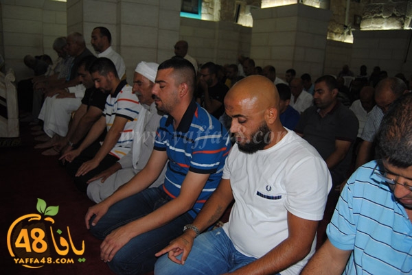 tararwee7 kaberej (3).JPG